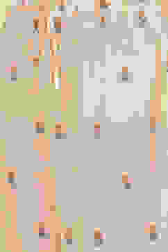 Peach Cotton Straight Kurta Palazzo Suit Set image number 3