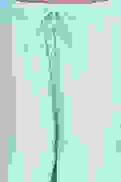 Green Cotton Printed Tiered Suit Set image number 2