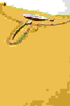 Neon Green Poly Viscose Straight Yarndyed Kurta image number 1