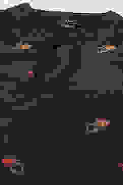 Rohit Bal Black Cotton Silk Straight Printed Suit Set image number 1