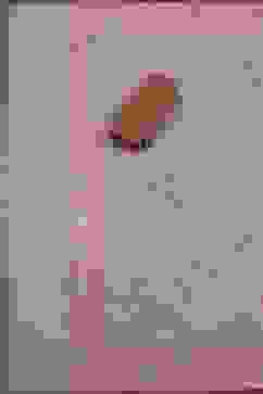 Rust Cotton Jamdani Unstitched Suit Set image number 3