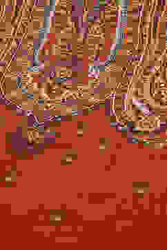 Brown LIVA Straight Printed Kurti image number 1