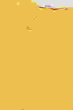 Yellow Cotton Straight Kurta image number 1