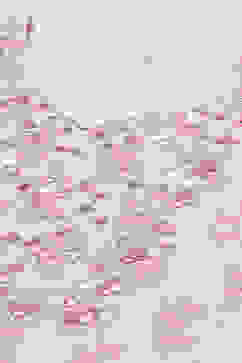 Powder Blue Cotton Double Layered Kurta Pant Suit Set image number 3