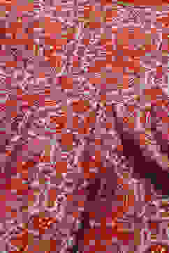 Red Poly Viscose Anarkali Kurta Palazzo Suit Set image number 1