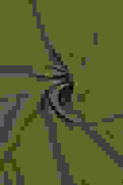 Green Silk Blend Printed Unstitched Suit Set image number 2