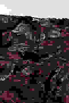 Black Polyester Tiered Dress image number 1