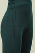 Maroon Acrylic Jeggings image number 1