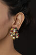 Multicolour Earrings image number 1