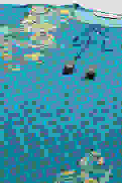 Turquoise Cotton Straight Printed Kurta Ankle Length Suit Set image number 1