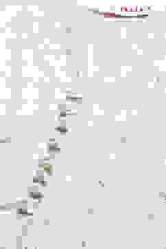 Off White Cotton Anarkali Kurta Lehenga Suit Set image number 1