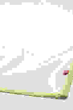 Green Leheriya Cotton Kurta With Palazzo & Net Dupatta image number 3