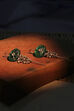 Green Stone Embellished Earrings image number 0