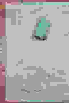 Teal Cotton Jamdani Unstitched Suit Set image number 3