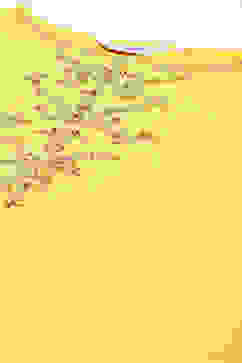 Yellow Cotton Straight Kurta Slim Pants Suit Set image number 1