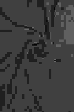 Gray Silk Blend Printed Unstitched Suit Set image number 2