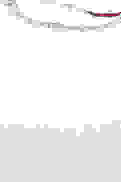 Ice Blue Poly Viscose Straight Kurta Slim Pant Suit Set image number 1