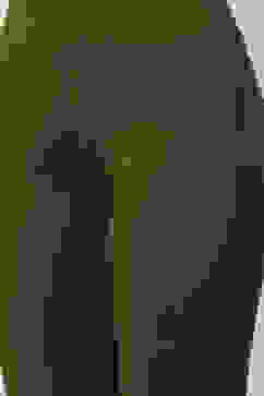 Olive Relaxed Pants image number 1