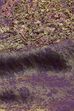 Purple Viscose Blend Straight Fusion Set image number 3