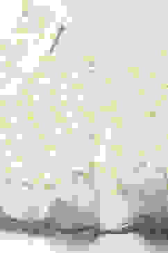 White Schiffli Sleeveless Cotton Embroidered Top  image number 1