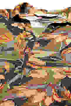 Black Rayon Straight Kurta image number 1