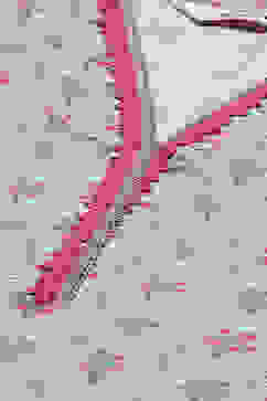 Grey Art Silk Straight Kurta Slim Pant Suit Set image number 1