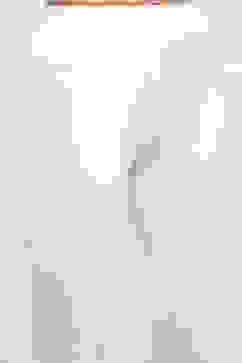 White Cotton Blend Solid Anklets image number 1