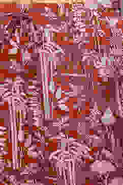 Terracotta LIVA Straight Printed 2 Piece Set image number 2