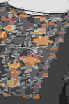 Black Cotton Straight Printed Kurta image number 5