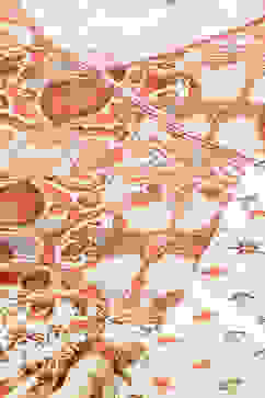 Cream Cotton Flared Kurta Set image number 1