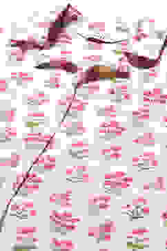 Off White & Pink Cotton Printed 2 Piece Sleepwear Set image number 1