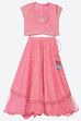 Orchid Pink Poly Viscose  Lehenga Set image number 0