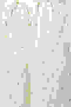 Blue LIVA Straight Kurta Palazzo Suit Set image number 2