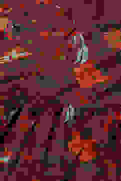 Green & Maroon Cotton Flared Printed Dress image number 1