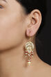 Gold Earrings image number 0
