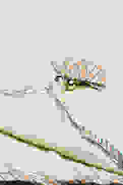 Light Green Cotton Floral Straight Suit Set image number 2