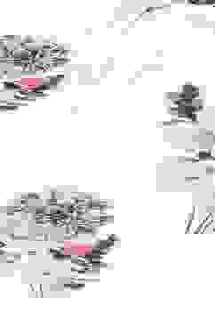 Rohit Bal Off White Cotton Silk Straight Printed Suit Set image number 1