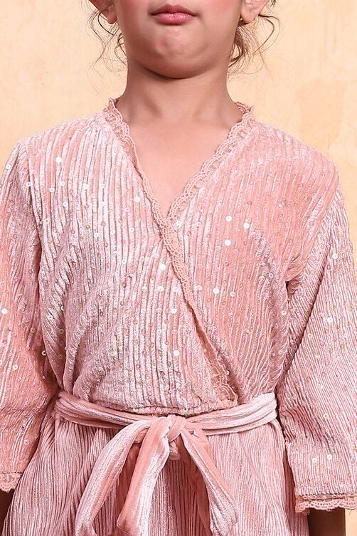 Champagne Polyester Blend Straight Dress image number 1