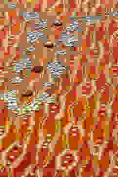 Mustard Rayon Straight Printed Kurta image number 5