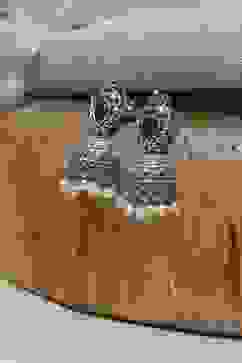 Navy Brass Jhumka image number 0