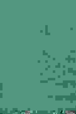 Peacock Green Printed Straight Kurta Regular Pants Suit Set image number 3