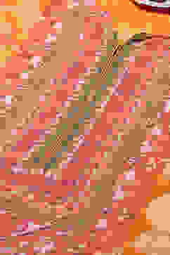 Orange Printed Straight Kurta image number 1