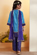 Blue Viscose Rayon Straight Suit Set image number 5