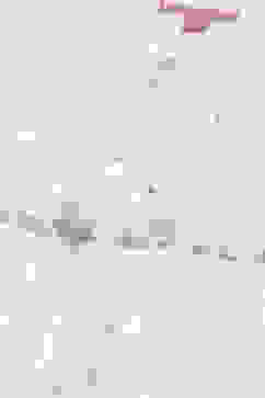 Off White Cotton Anarkali Kurta Churidar Suit Set image number 1