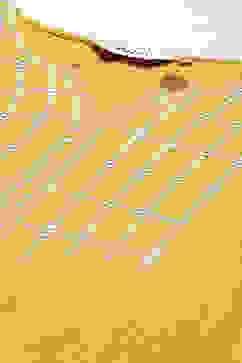 Yellow Straight Yarndyed Kurta image number 1