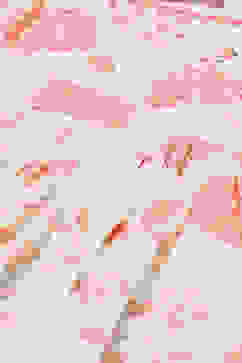 Off White & Peach Cotton Gathered Kurta Garara Suit Set image number 1