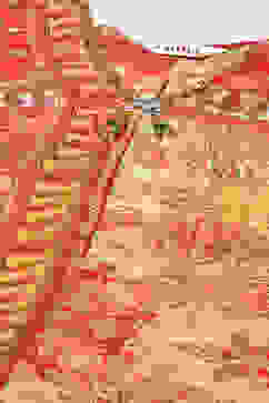 Yellow Printed Asymmetric Kurta & Palazzo Suit Set image number 1