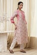 Nude Straight Kurta image number 4