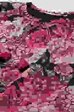 Black Polyester Straight Printed Top image number 2