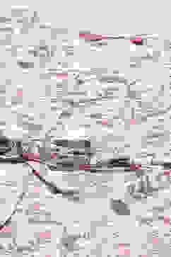 Ecru Cotton Straight Jumpsuit image number 1